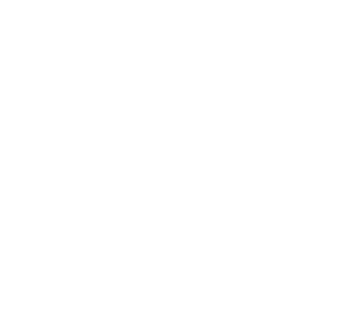 logo%20Caravela%20Branco